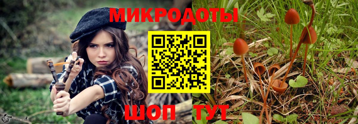 Псилоцибиновые грибы мицелий Мичуринск