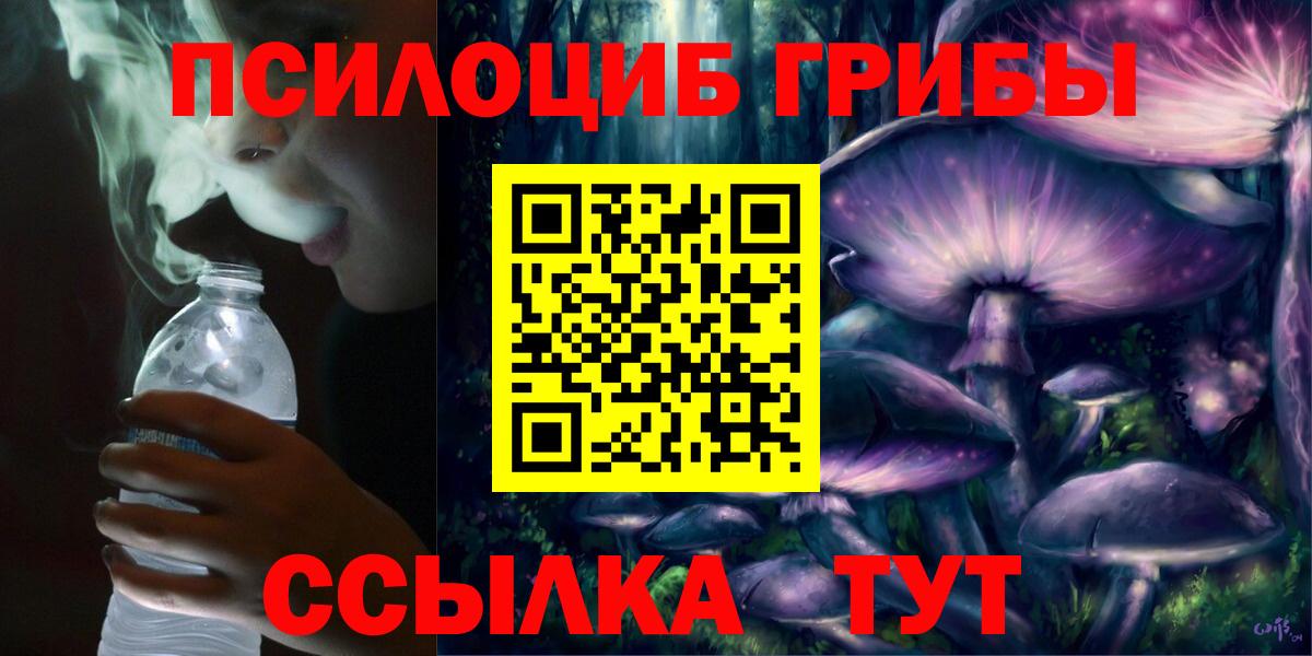 Псилоцибиновые грибы Psilocybe  где найти наркотики  Мичуринск  Вход с VPN 