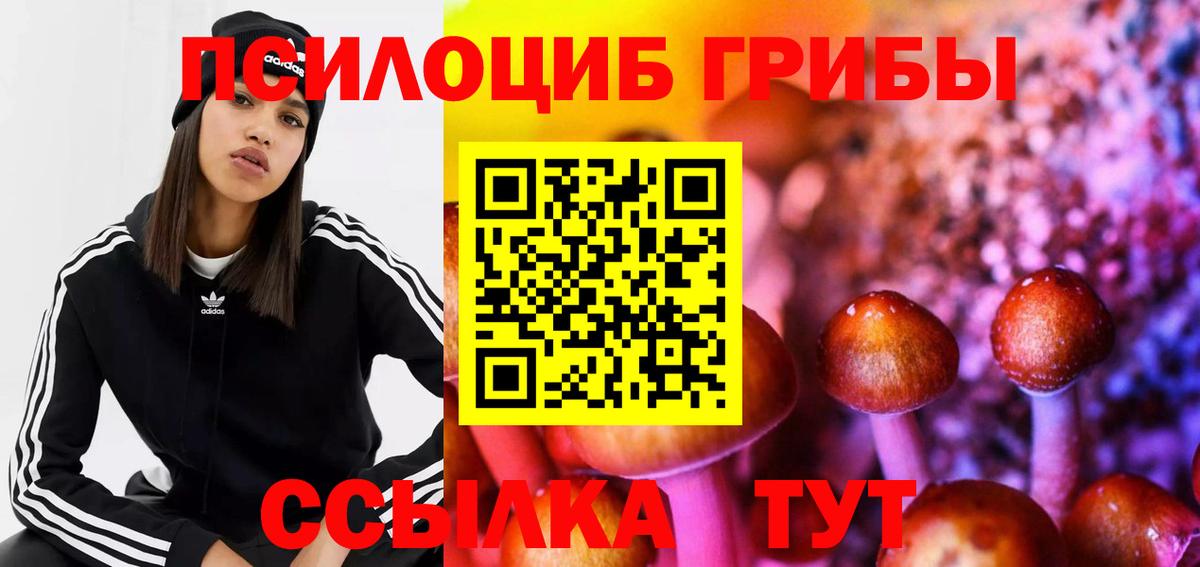 NBOMe  Мичуринск  Марихуана  Меф МЯУ МЯУ кристаллы  Гашиш  Вход с VPN 